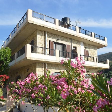Ariadni Apartments Sfinárion エクステリア 写真